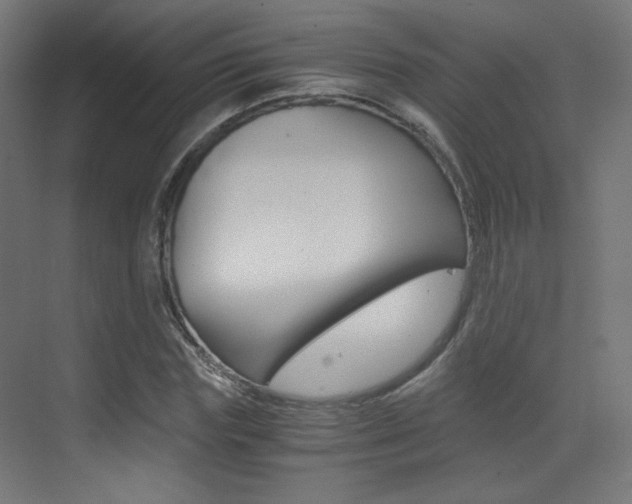 X0000073470827200607281056