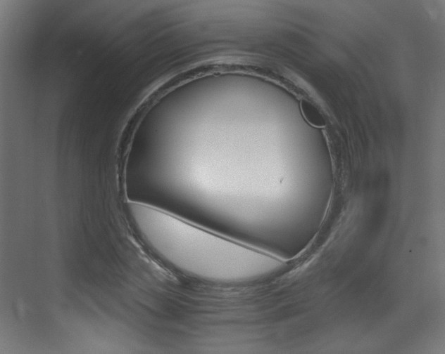 X0000073470829200607281056