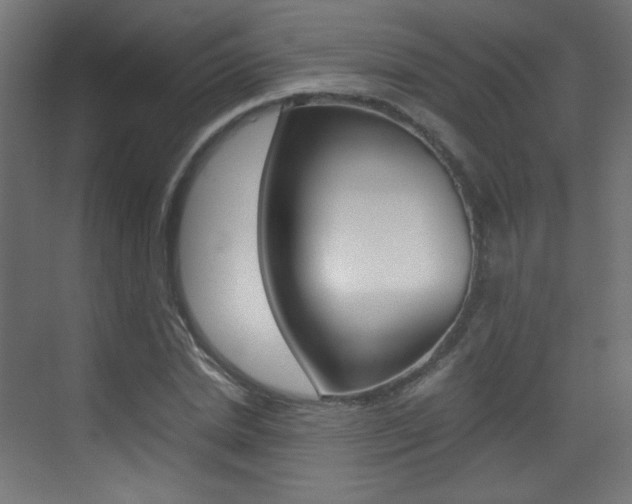 X0000073470830200607281056