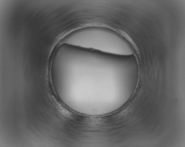 X0000073470831200607281056