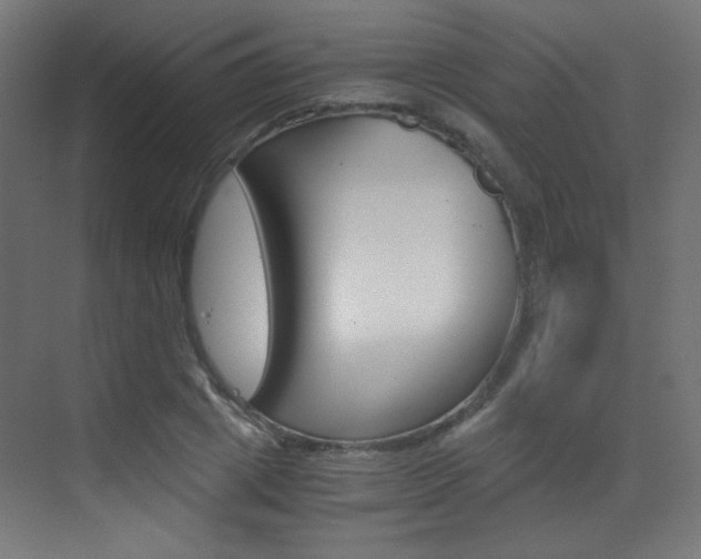 X0000073470833200607281056