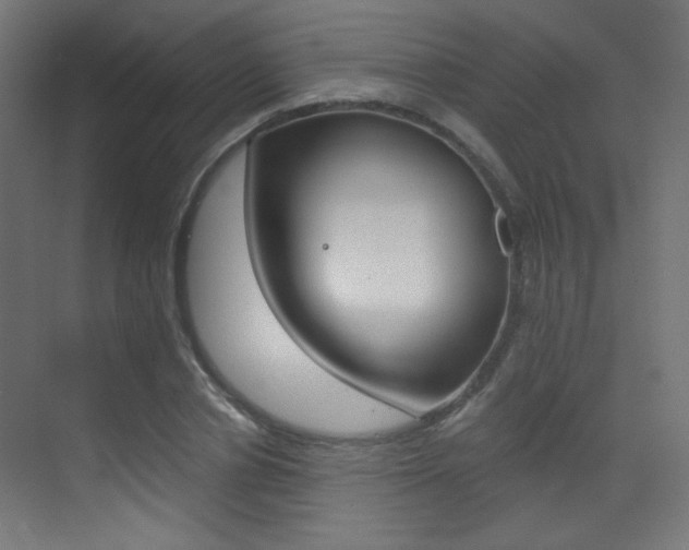 X0000073470834200607281056
