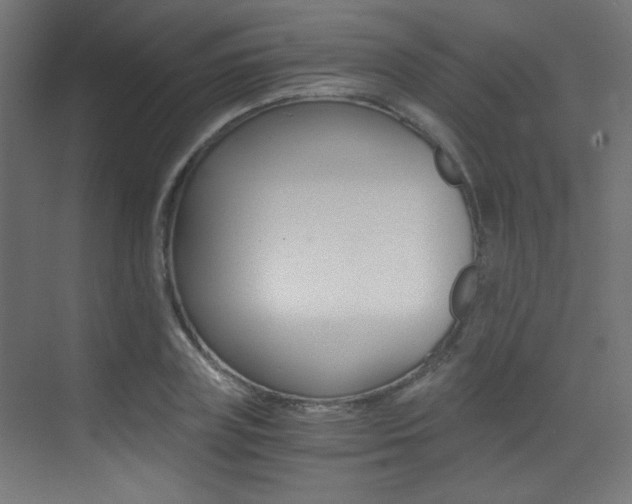 X0000073470835200607281056