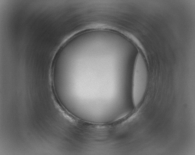 X0000073470839200607281057
