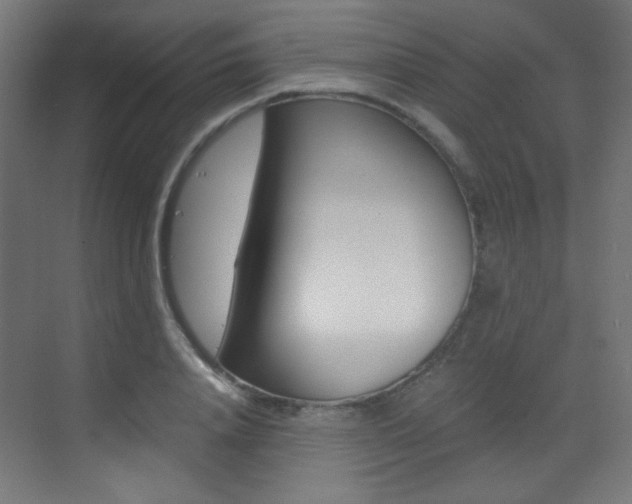 X0000073470840200607281057
