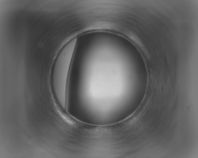 X0000073470842200607281057