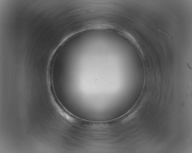 X0000073470843200607281057