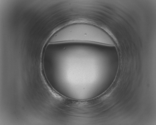 X0000073470845200607281057