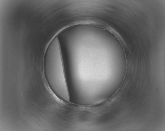 X0000073470852200607281057