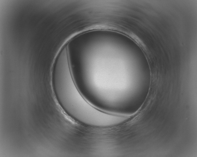 X0000073470854200607281057