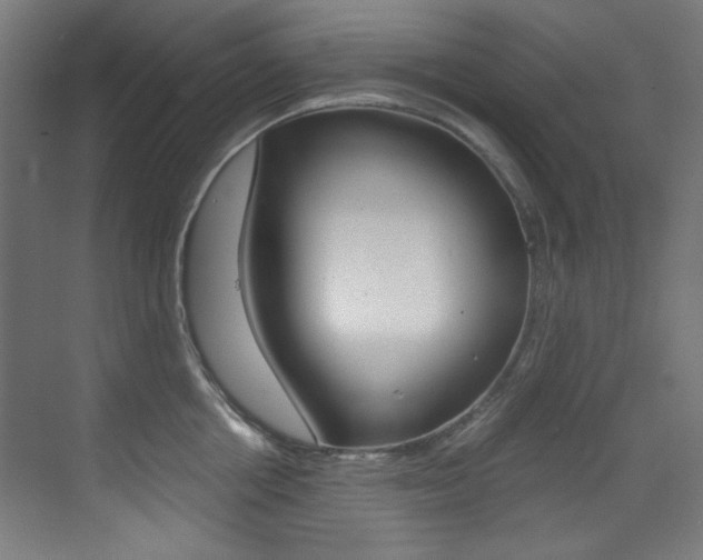 X0000073470858200607281057