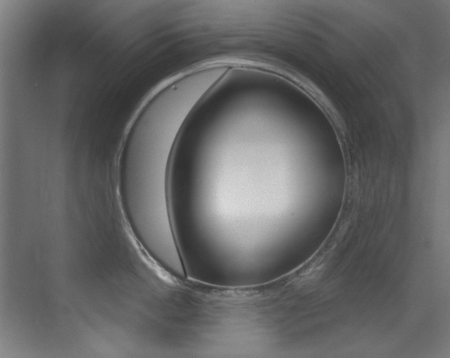 X0000073470862200607281057
