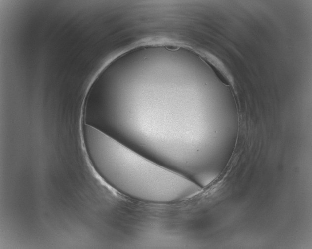 X0000073470863200607281057