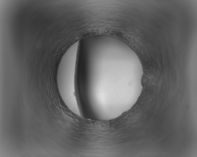 X0000073470865200607281056