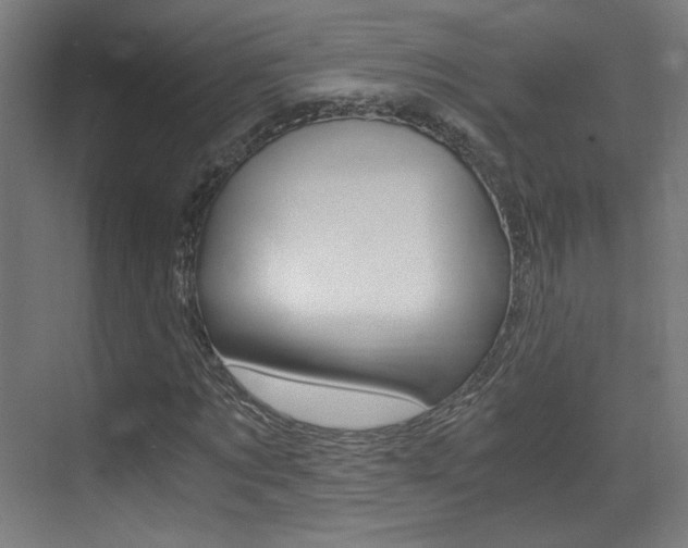 X0000073470869200607281056
