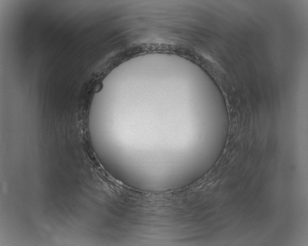 X0000073470870200607281056