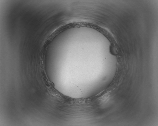 X0000073470871200607281056