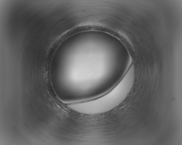 X0000073470872200607281056