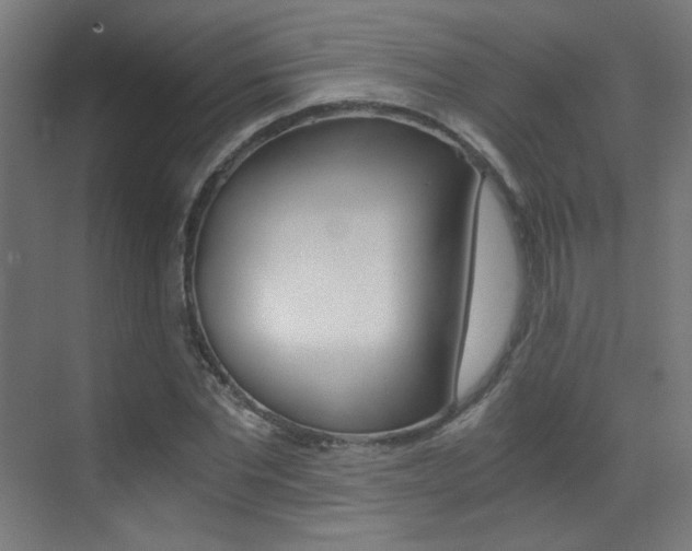 X0000073470877200607281056