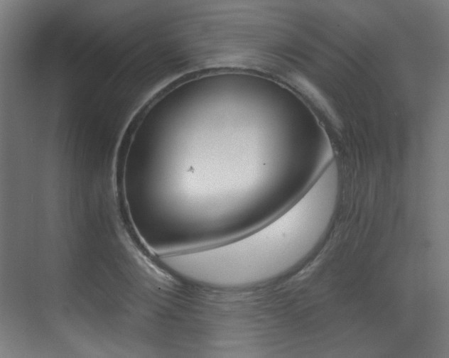 X0000073470884200607281056