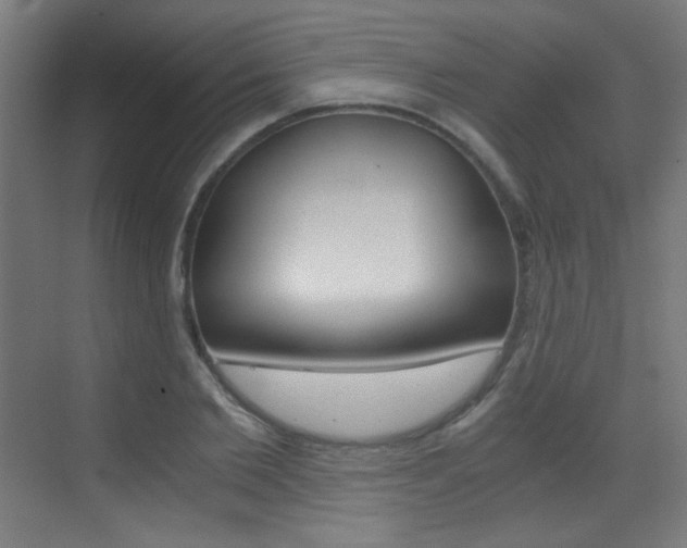 X0000073470885200607281056