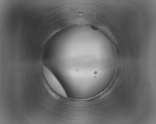 X0000073470889200607281056
