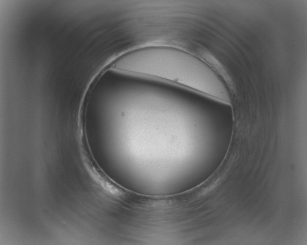 X0000073470892200607281056
