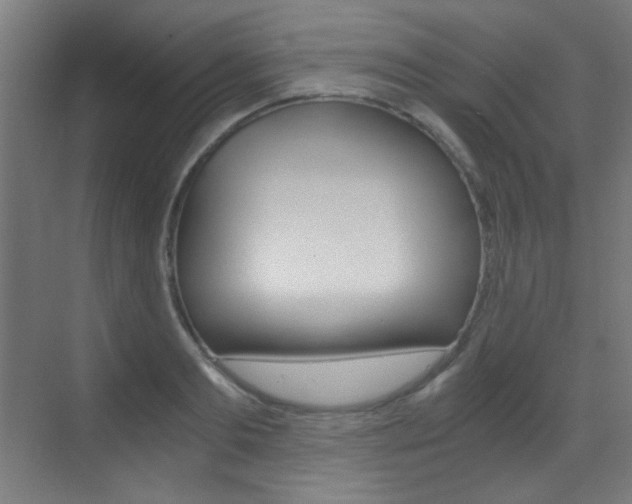 X0000073470893200607281056