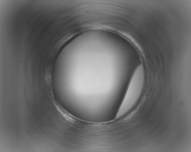 X0000073470897200607281056