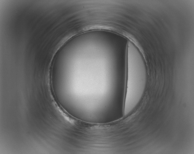 X0000073470898200607281056