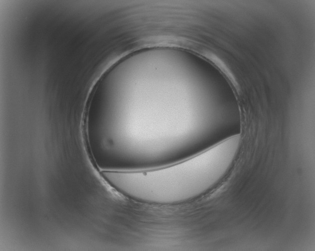 X0000073470901200607281056