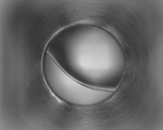 X0000073470902200607281056