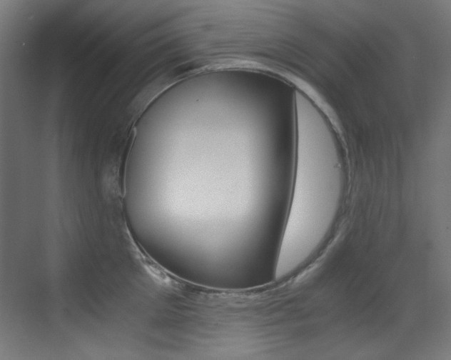 X0000073470905200607281055