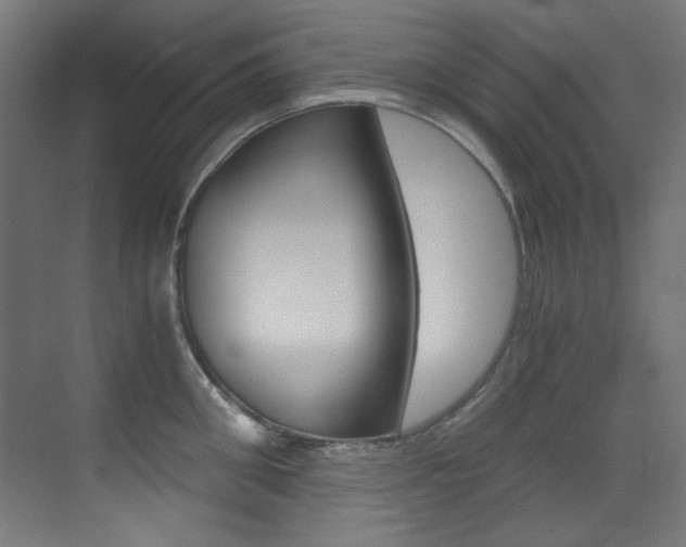 X0000073470906200607281055