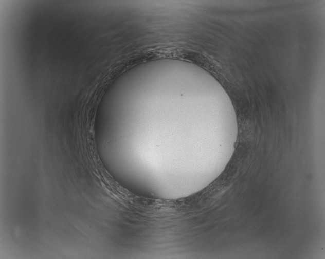 X0000073470913200607281055