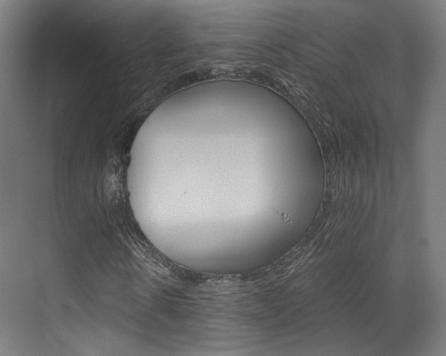 X0000073470914200607281055