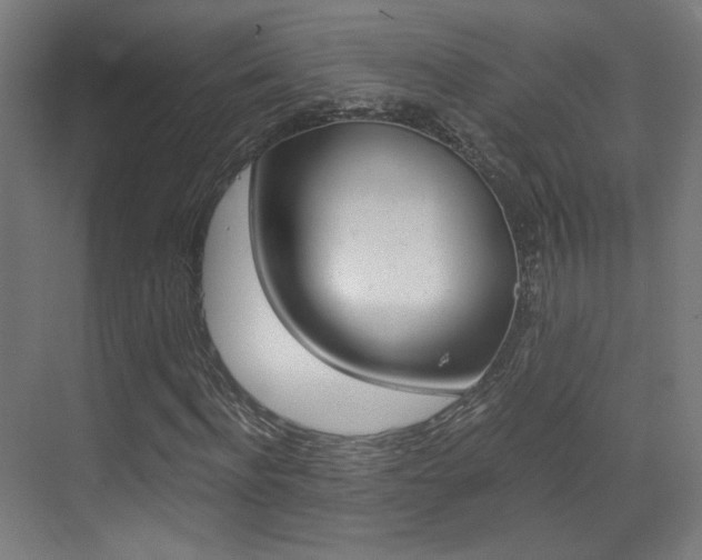 X0000073470916200607281055