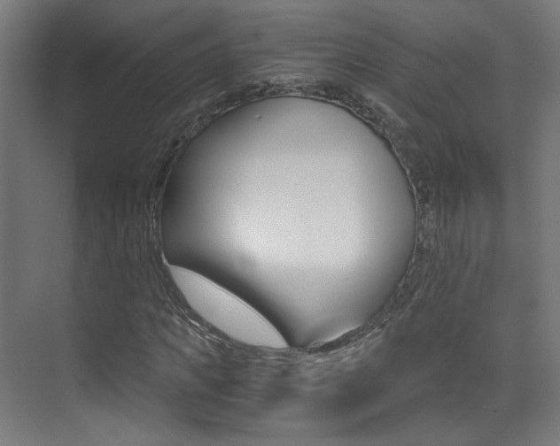 X0000073470917200607281055