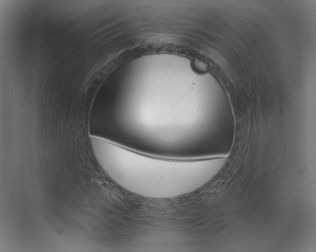 X0000073470919200607281055