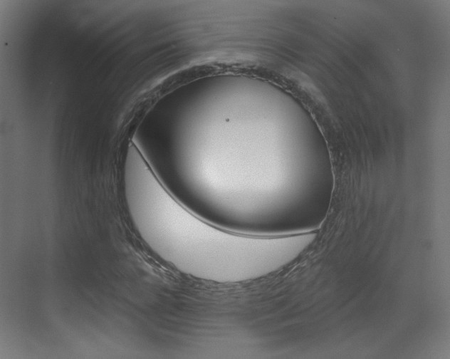 X0000073470920200607281055
