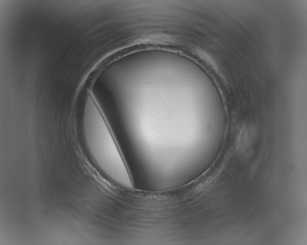 X0000073470923200607281055