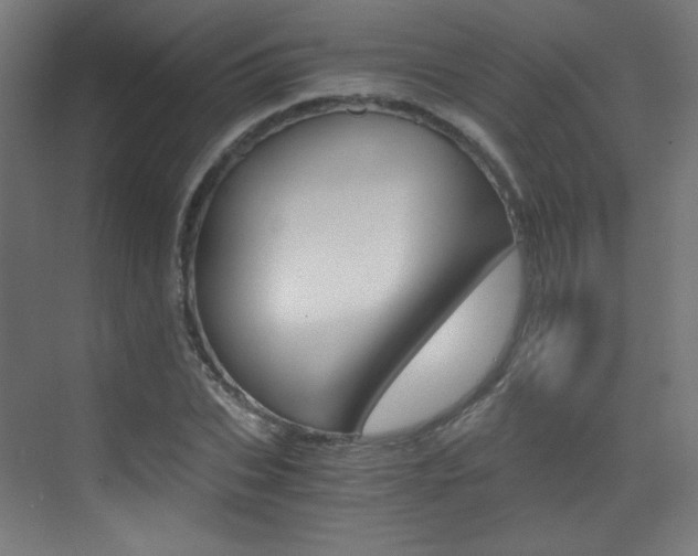 X0000073470927200607281055