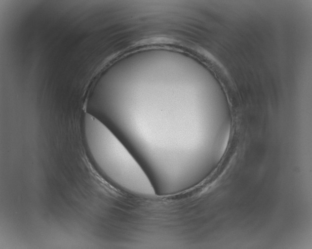 X0000073470929200607281055