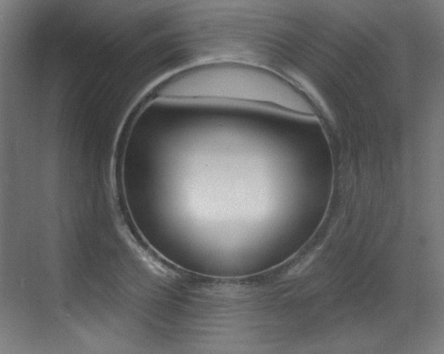 X0000073470932200607281055