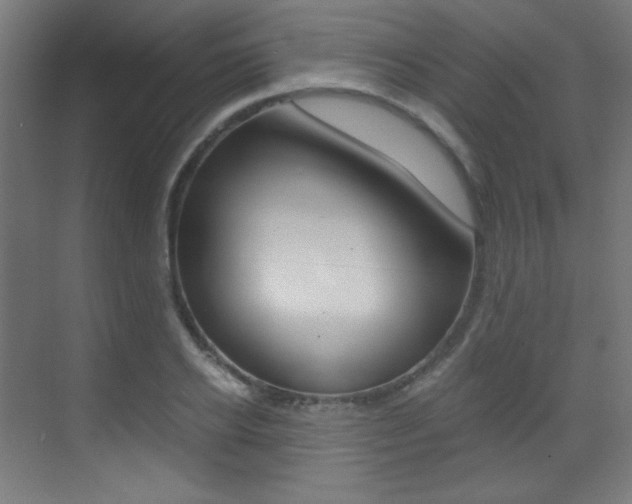 X0000073470934200607281055