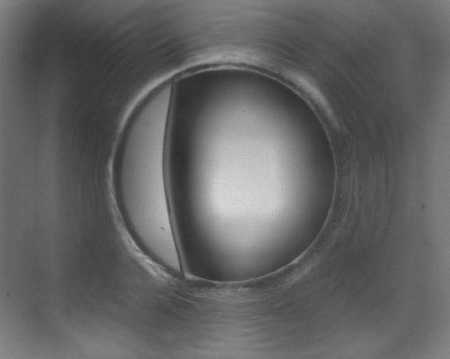 X0000073470936200607281055