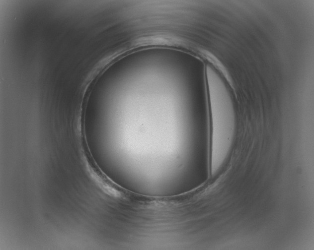 X0000073470938200607281055
