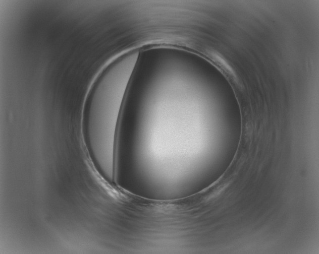 X0000073470940200607281055