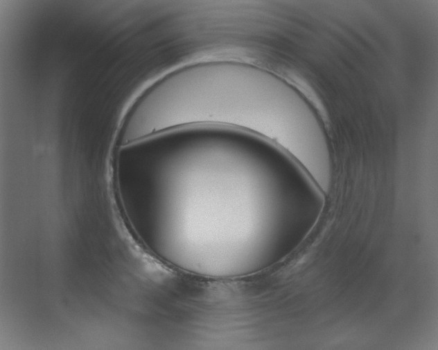 X0000073470944200607281055