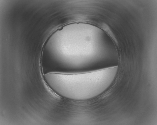 X0000073470954200607281055